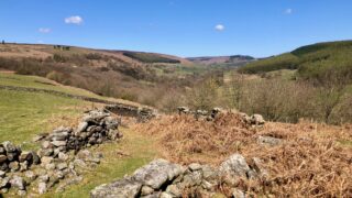 A day with National Trust: replacing the fencing at Stork House
