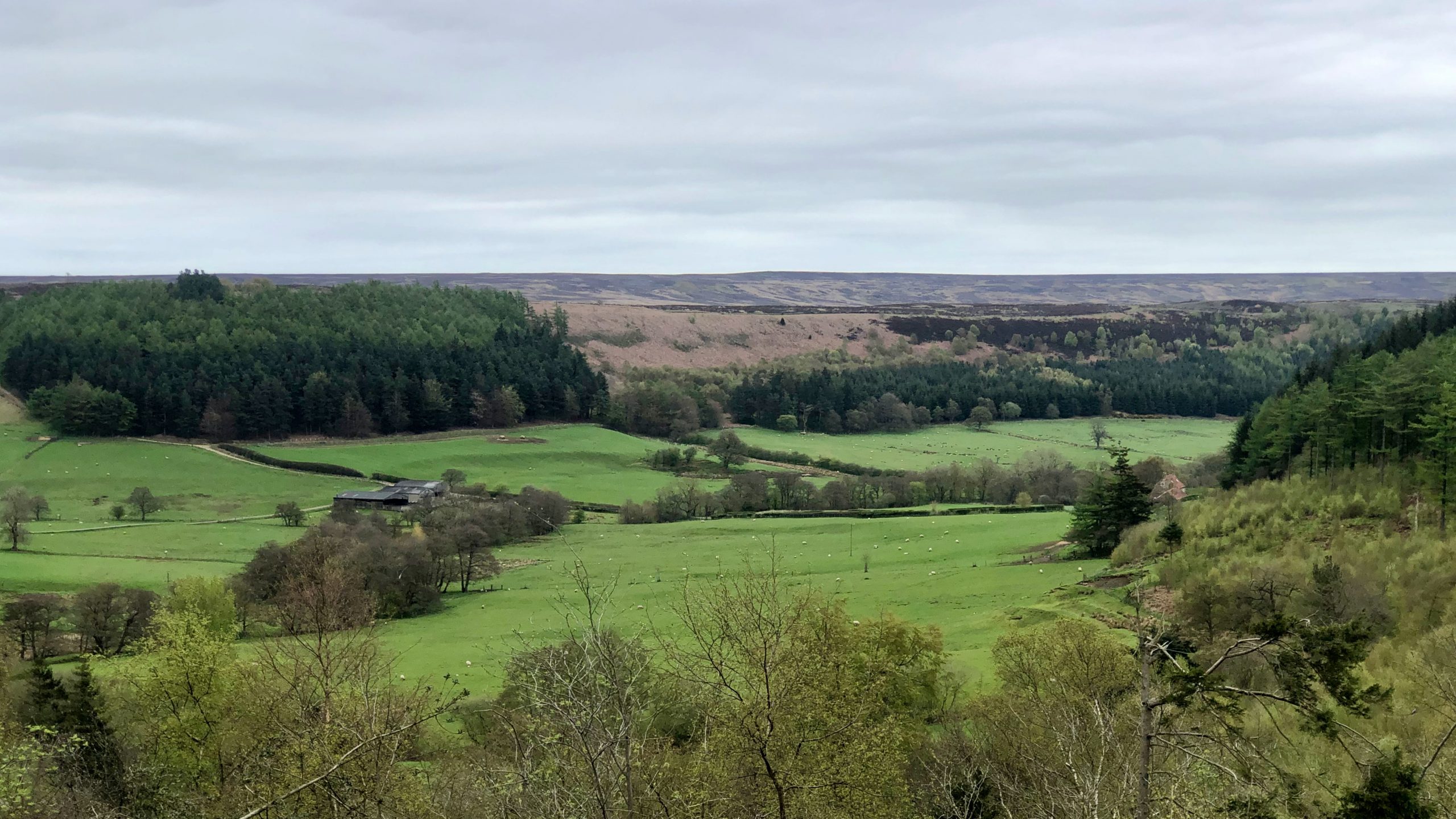 A trace of the Medieval past of Lonsdale through its field names