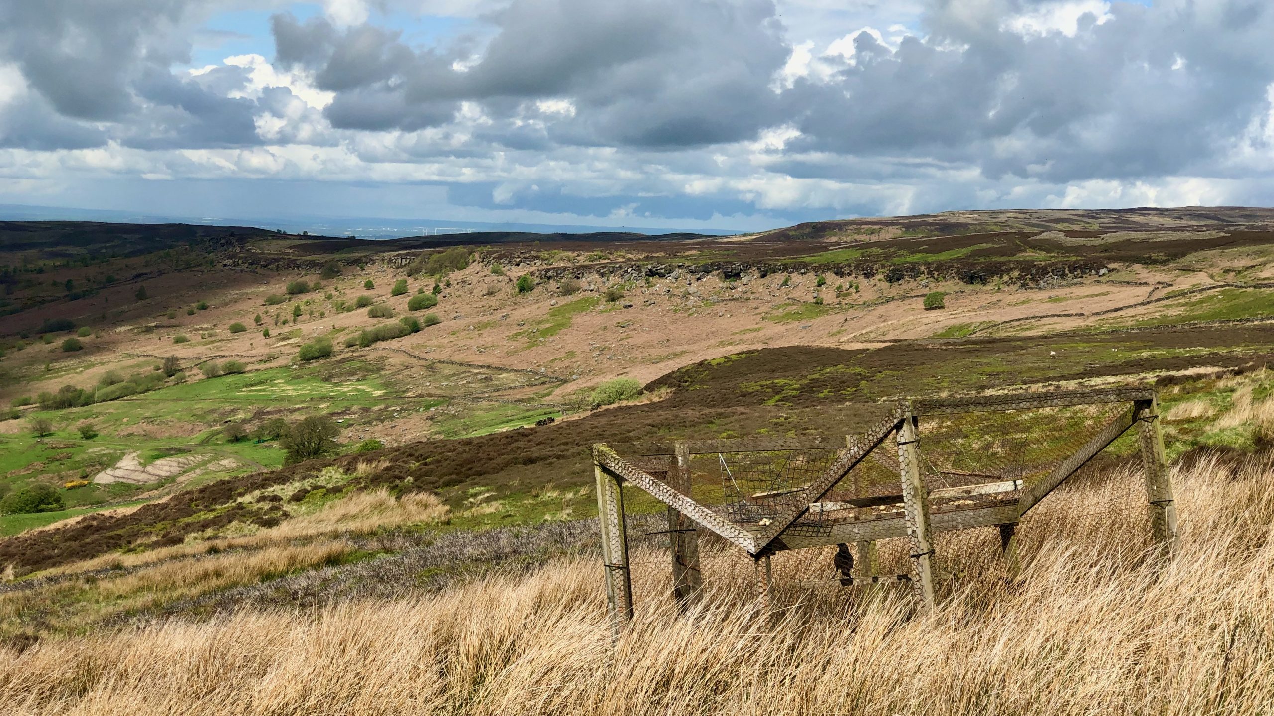View across the head of a moorland dale with a ladder trap in the foreground containing to live crows.