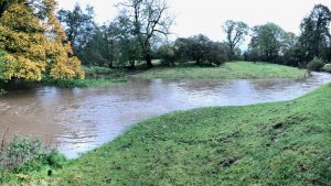 A wide-angle view of the River Leven in full flood, with fast-moving, murky brown water swollen high against its grassy banks. The river curves through a lush green landscape under a grey sky, with several trees—some showing yellow autumn foliage—lining the water's edge. The water level has risen significantly, nearly spilling over into the adjacent fields and partially submerging the base of the riverside vegetation.