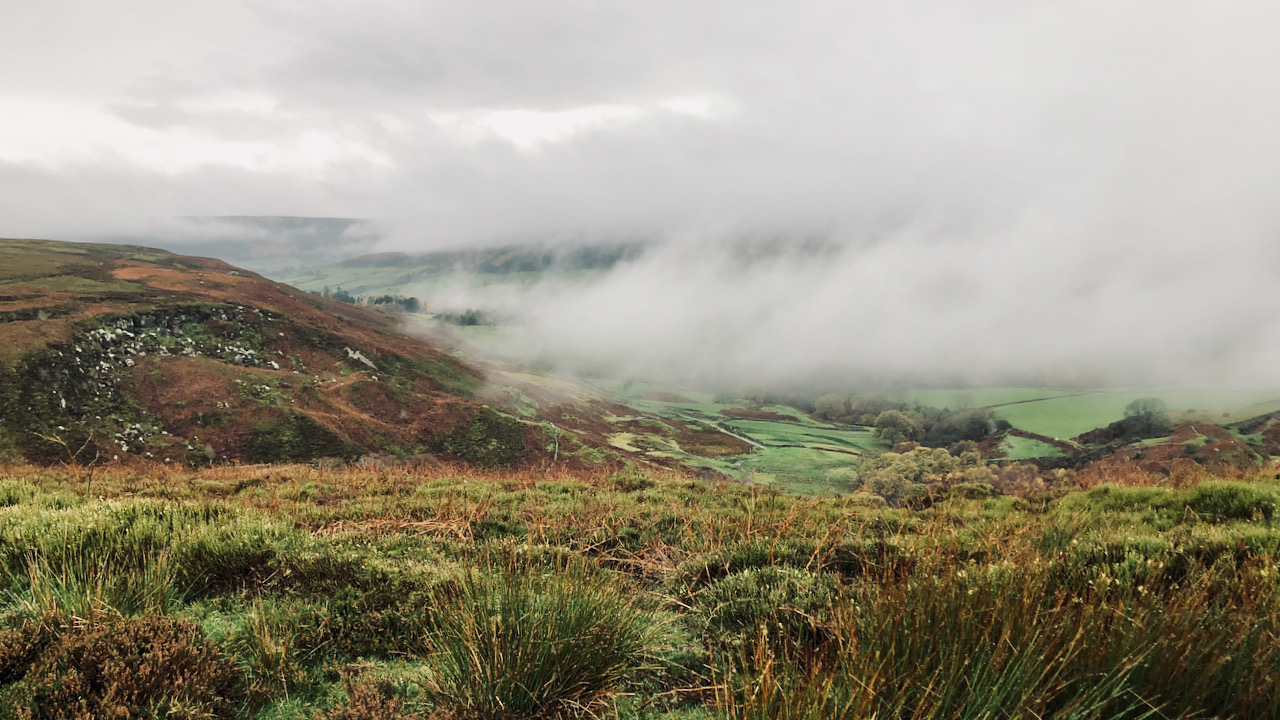 From Spider Bites to Scorpion Stings: DEFRA’s Leadership Labyrinth