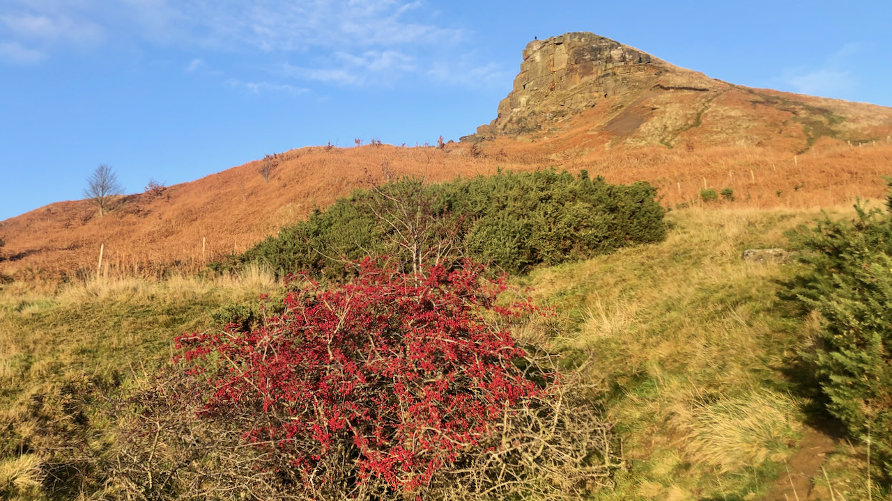 The Ironstone Depression and Winter’s Sustenance