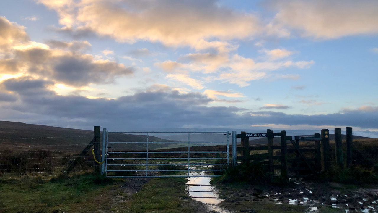 Patches of blue, reflections and a spanking new gate—Highcliff Gate this morning