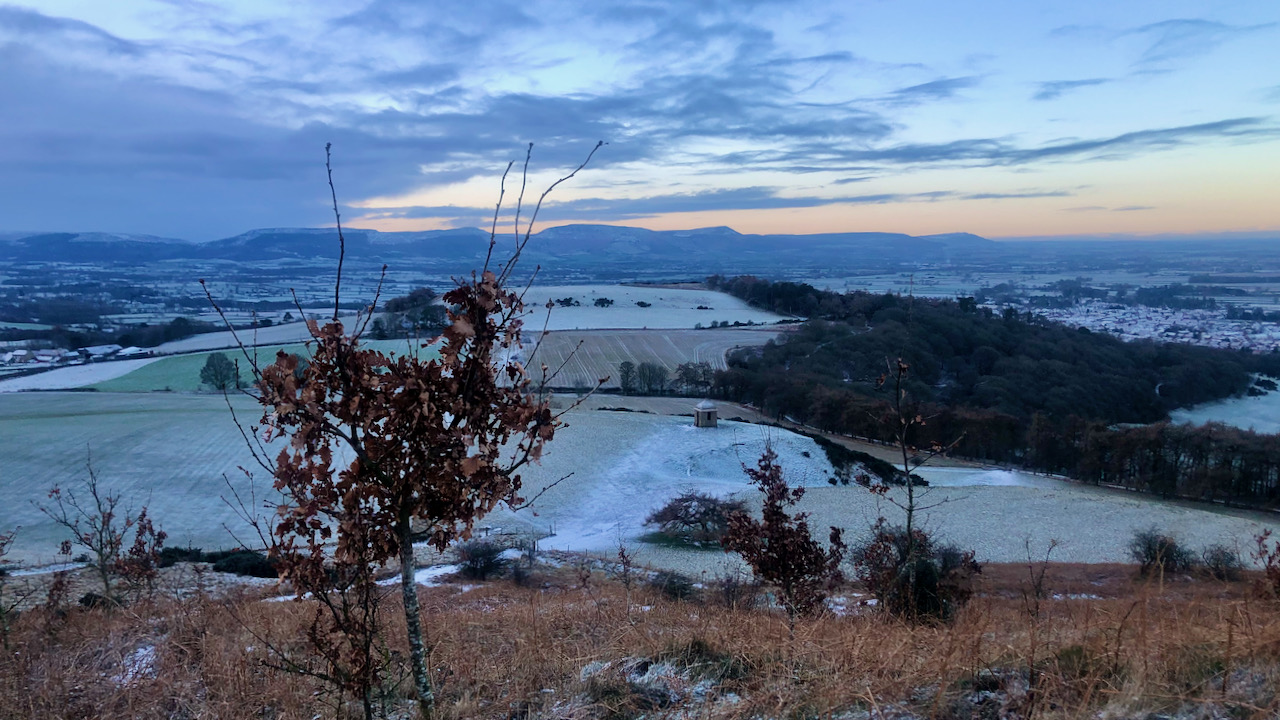 Looking down on the folly and a marcescent oak