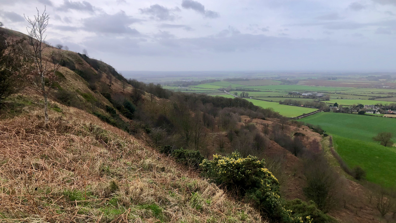 Cockle Scar — where is the Cat Trod?