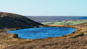 The Tarn