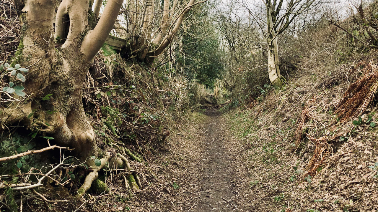 Cold Moor Lane — Hollow Way and Medieval Trod