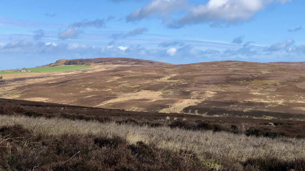 Codhill Heights — Celtic origins in Yorkshire’s landscape