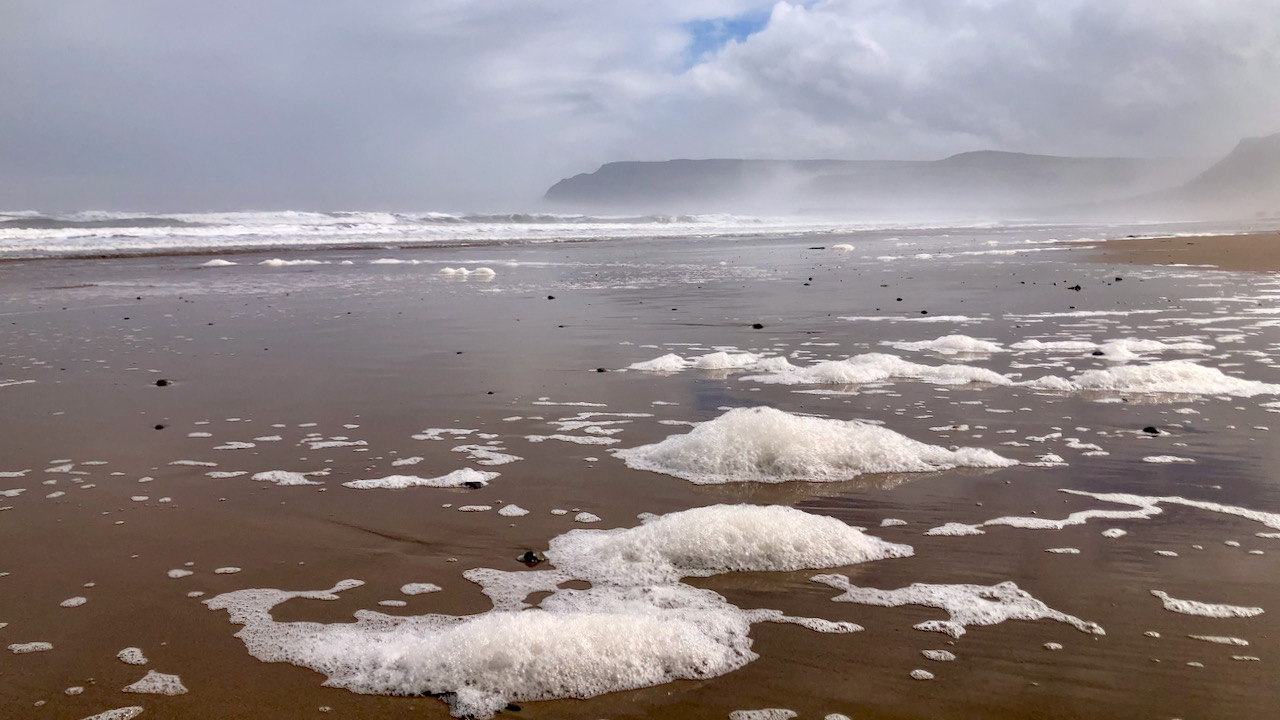 Cattersty Sands—From Fretful Sea to Fragile Foam