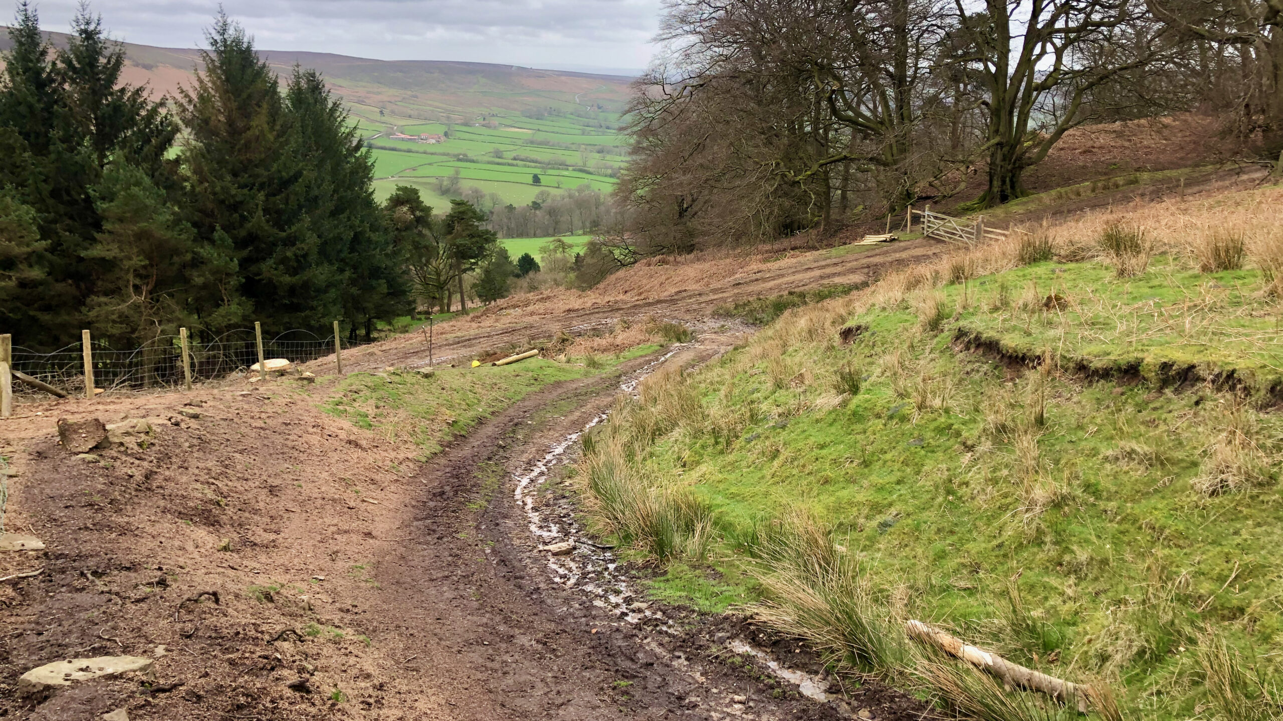 An Ancient Route into Bransdale