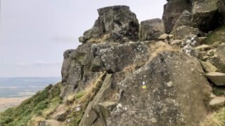 The Sheep Walk’s Silent Lament