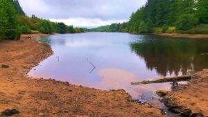 Alt-text: A tranquil reservoir with significantly reduced water levels, surrounded by a dense forest of evergreen trees. The shoreline is exposed, revealing sandy terrain and a small stream flowing into the lake. The sky is overcast, creating a peaceful and reflective atmosphere. The water's surface reflects the surrounding landscape, creating a mirror-like image of the trees and the distant hills.