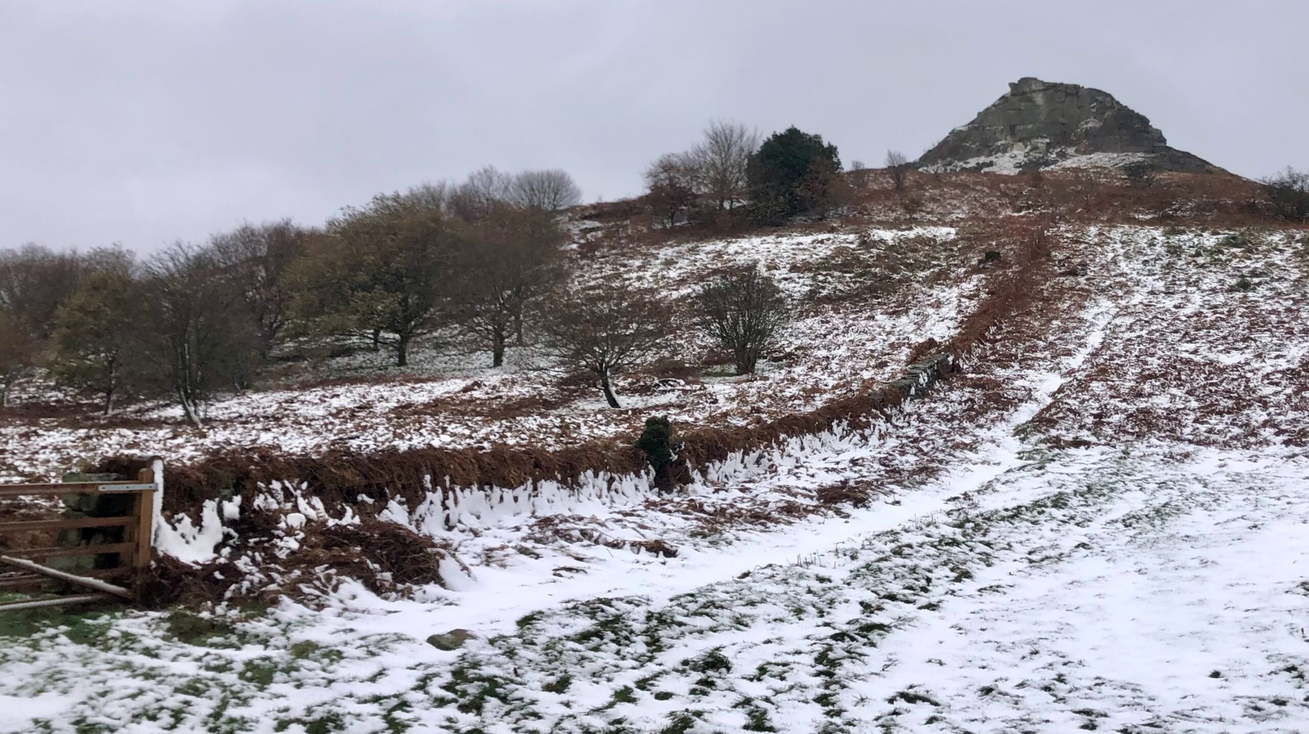 Bert: From a Cockney Chimney Sweep to Meteorological Menace