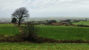 A panoramic view of a rolling landscape with a patchwork of green fields. A small farmstead and a bare tree stand out in the foreground against a cloudy sky.