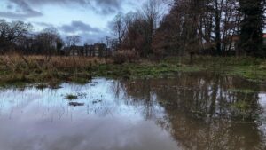 A flooded meadow with reflections of the cloudy sky and nearby trees. In the distance, a large building with a stone facade is visible through the trees.