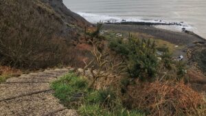A newly-constructed, winding set of steps descends through a steep scrub hillside towards a rocky beach and the vast, grey North Sea beyond. The steps are constructed from gravel and wooden treads and lined with patches of grass and there is a gorse bush with yellow flowers. The beach is covered in rough, dark stones and it is high tide, with gentle waves lapping at the shore. A ramshackle collection of fishermen’s huts line the foreshore. No sky is visible but it is overcast giving muted colours, adding to the dramatic atmosphere of the scene.