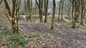 A colour photograph of an area used by BMX and motorcycle scrambling in a wooded area. The track is muddy and features banked turns and small jumps. Tyre tracks are visible in the dirt. The surrounding woodland is open with tall, bare trees and brown leaves covering the ground. The sky is overcast and grey.