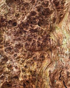 Detailed macro photograph of a textured tree burr from a fallen tree stump that has lost its bark, highlighting the complex, swirling patterns of the wood grain. The rough surface is a mix of browns and tans, with deep crevices and raised bumps creating a tactile, organic feel.
