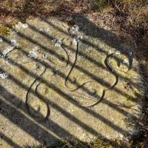 A sunlit, direct overhead photograph of a roughly rectangular, pale sandstone slab. The stone has a copy of a pre-historic rock carving that is on a nearby stone. The carving consists of a curvilinear carved figure in a Swastika shape or fylfot with ten cups fitted into the five curved arms, and eight other cups on the east side. The stone is weathered, with some lichen growth. A shadow from railings with thin, dark, parallel bars falls diagonally across the stone, creating a striped pattern that partially obscures the carving. The stone is set in a natural setting with dry, brown grass and patches of green moss and heather visible around its edges.