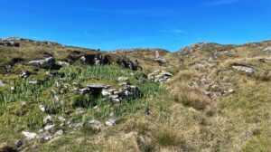 A wide outdoor shot under a clear, bright blue sky shows a slightly uneven, grassy terrain scattered with light-coloured rocks. In the mid-left, nestled amongst taller green plants resembling irises, is a small, low structure built from the same light-coloured rocks, appearing somewhat like a collapsed or partially buried shelter. The surrounding vegetation varies from lush green in the lower areas and around the rocky structure to drier, yellowish grasses on the higher ground to the right. The terrain gradually slopes upwards towards the horizon, where more rocky outcrops and patches of grass meet the clear sky.