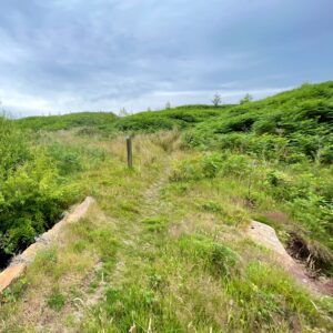 A narrow, grassy footpath winds through a verdant, hilly landscape under a cloudy sky. In the foreground, the path crosses a flat, light-brown culvert over a stream. A wooden post with a blue and white marker stands on the left side of the path, mid-ground. The path leads to a hollow way flanked by thick, vibrant green Bracken and other wild vegetation, which cover the gentle slopes leading up to higher ground in the background.