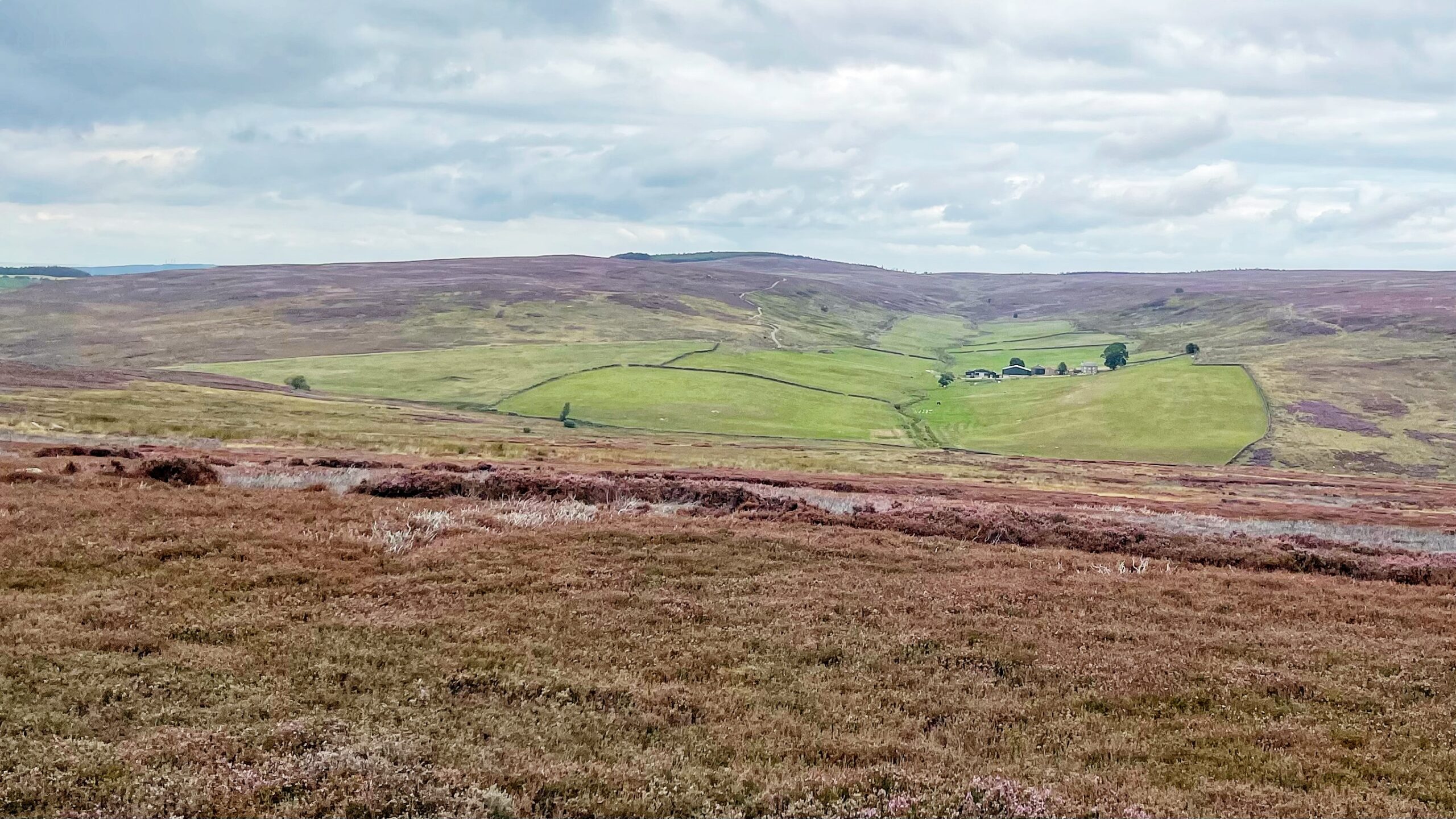 Sleddale: The Making of a Moorland Dale