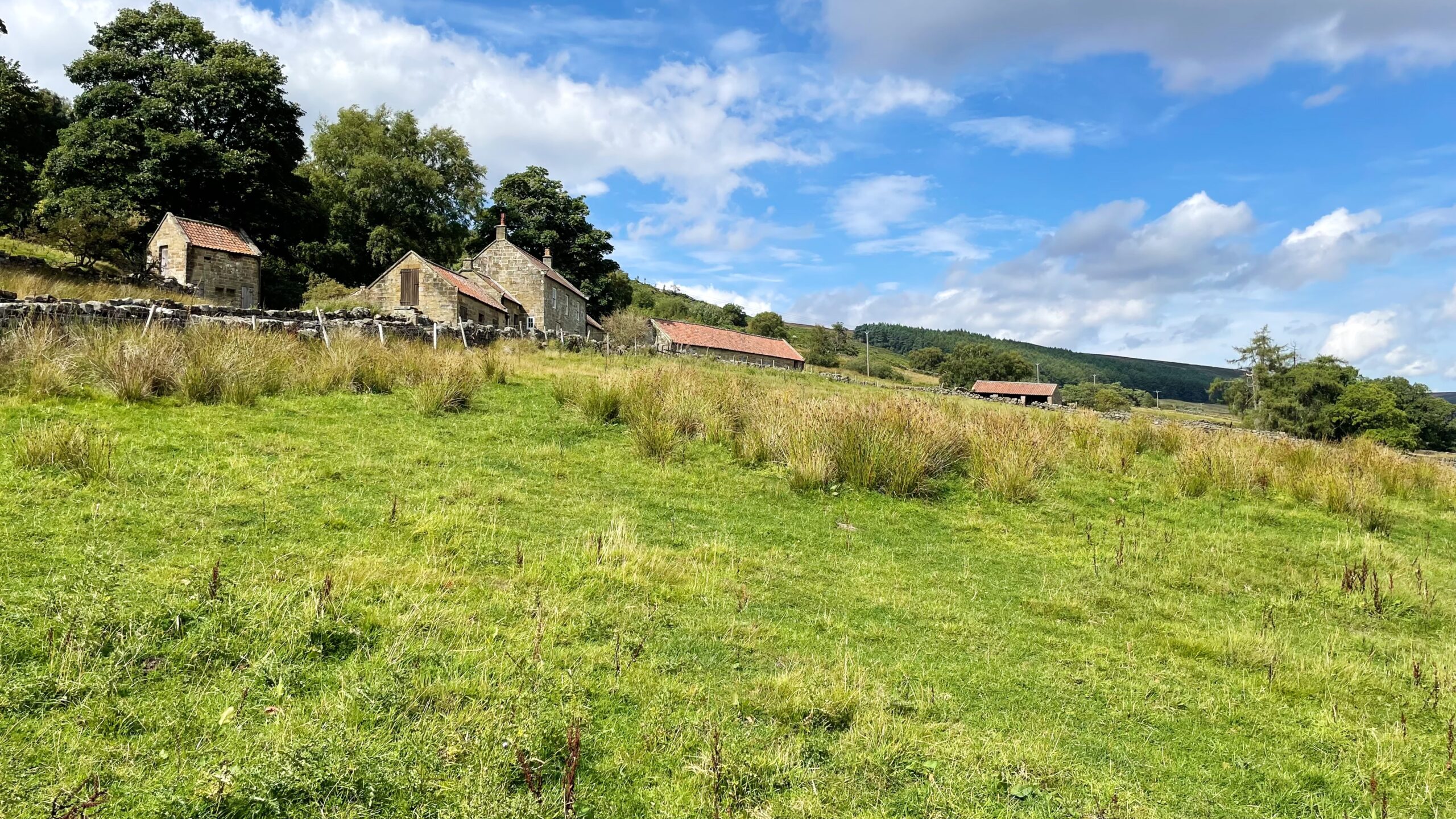 Low and High Elm Houses, Bransdale