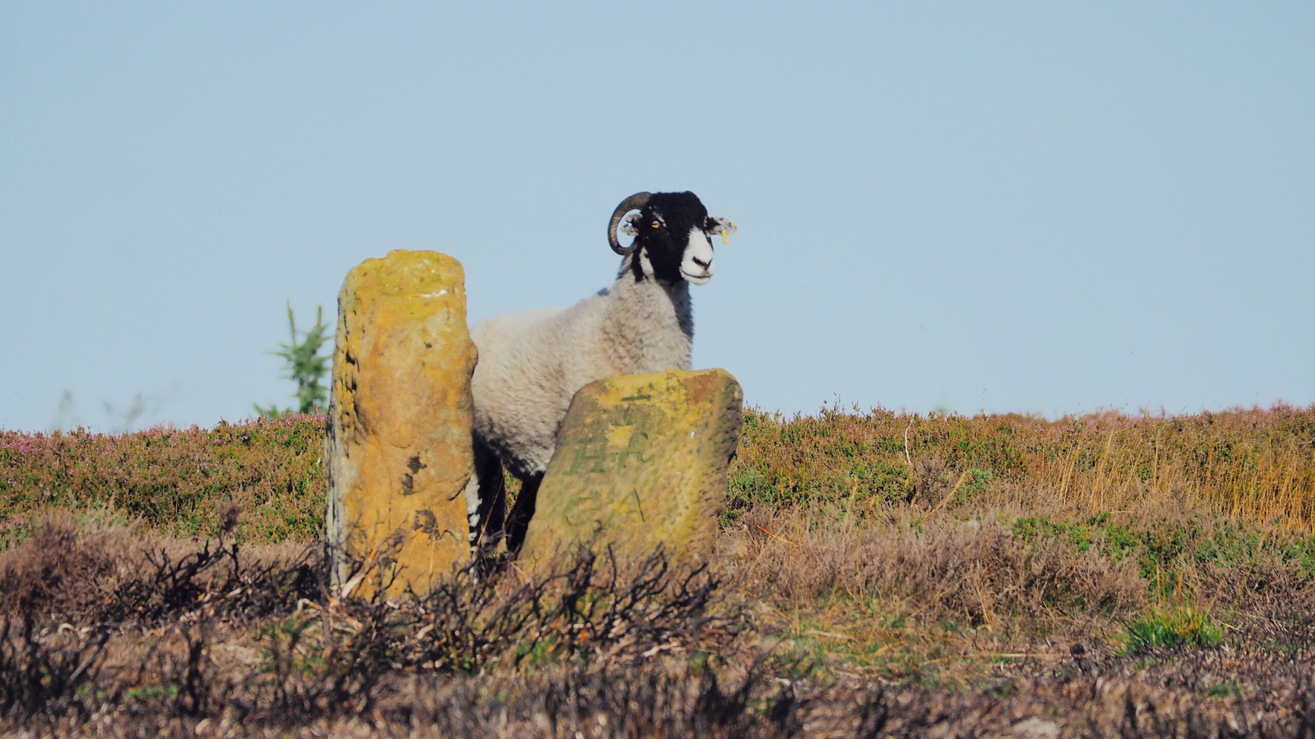 The Yow and Two Boundary Stones