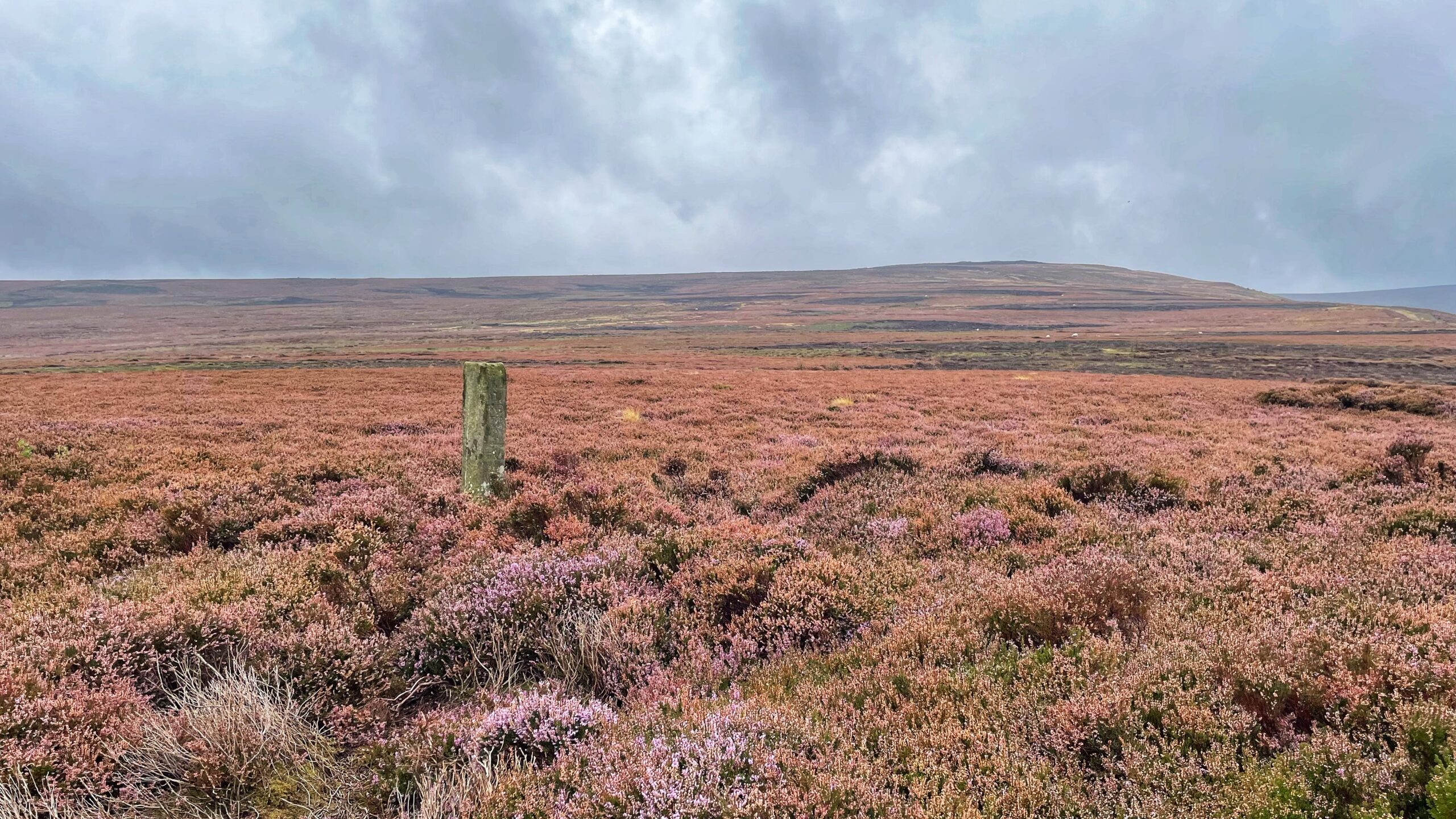 The Last Guidepost of Ingleby Moor