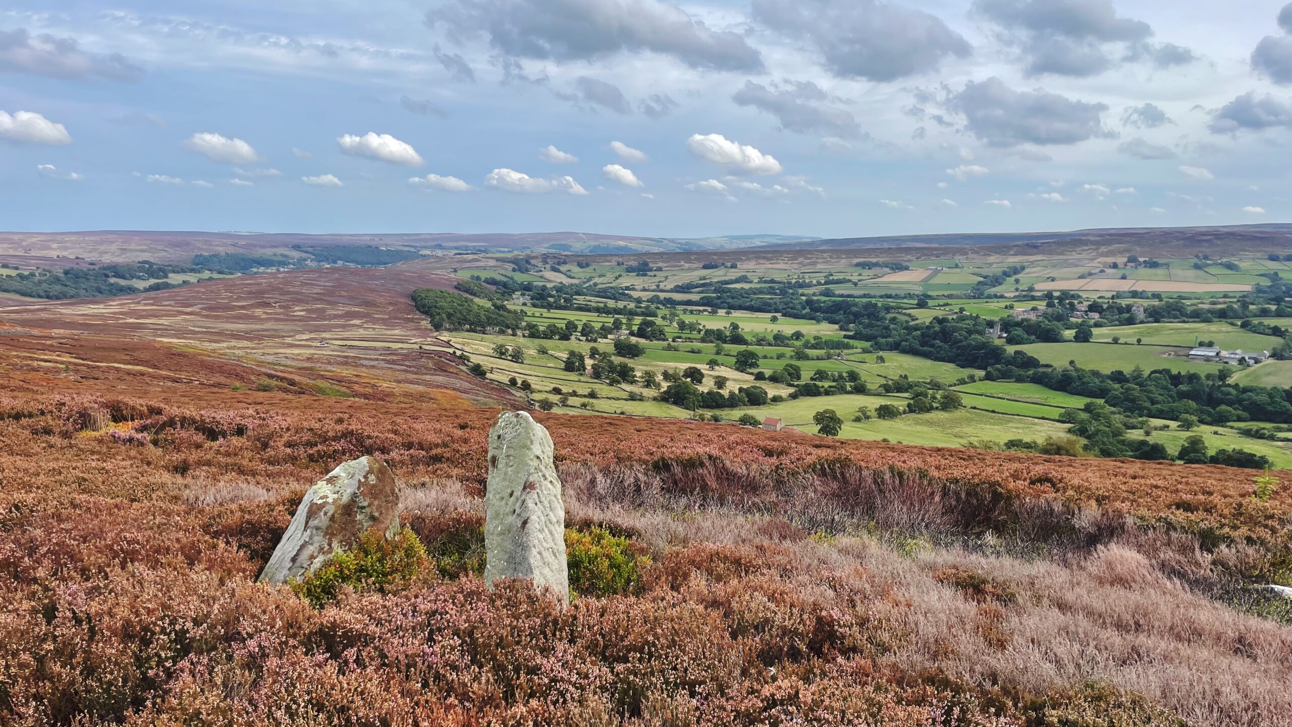 The Pike Stone: From Waste to Common Land