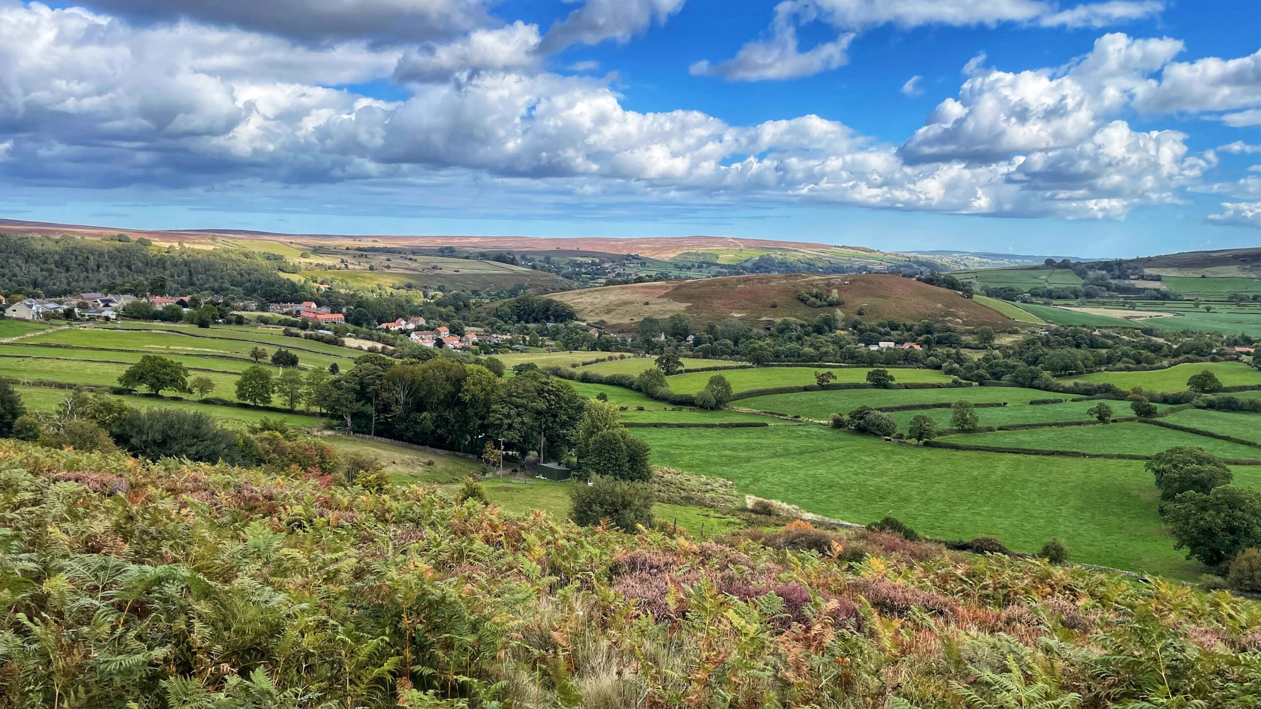 A scenic landscape photograph shows a wide valley with rolling hills under a blue sky with white clouds. In the foreground, there are green and brown fields with some trees. A small village with houses is nestled in the valley on the left side of the frame. The hills in the background are covered in a mix of green grass and reddish-brown bracken and heather.