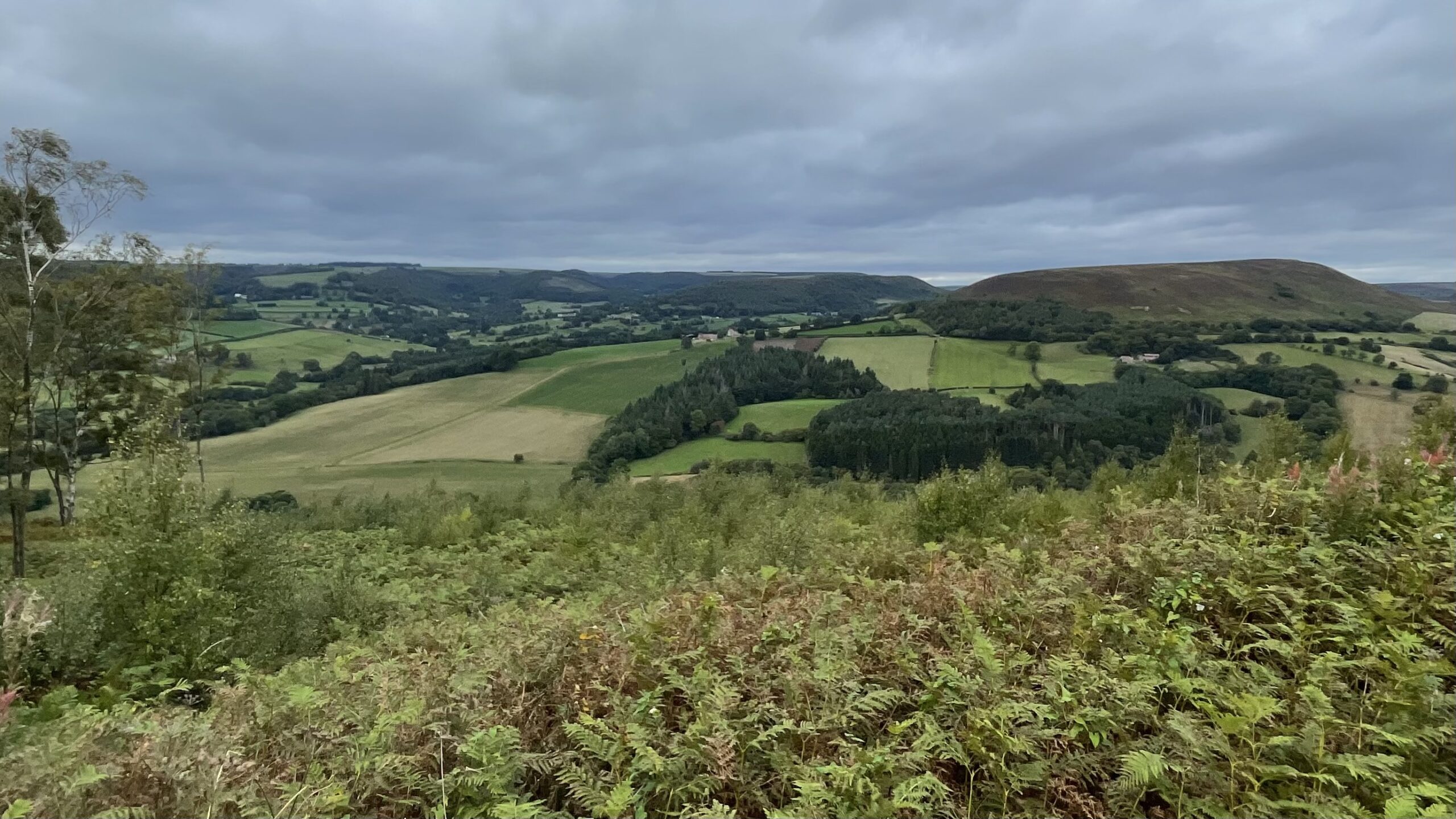 An image shows a vast, panoramic view of a lush, green valley with rolling hills under a cloudy sky. In the foreground, there is bracken and some small trees. The middle ground is a patchwork of green and gold fields bordered by woodlands, with a few scattered farmhouses visible. In the distance, a prominent, hogback-shaped hill named Easterside Hill rises on the right side of the frame.