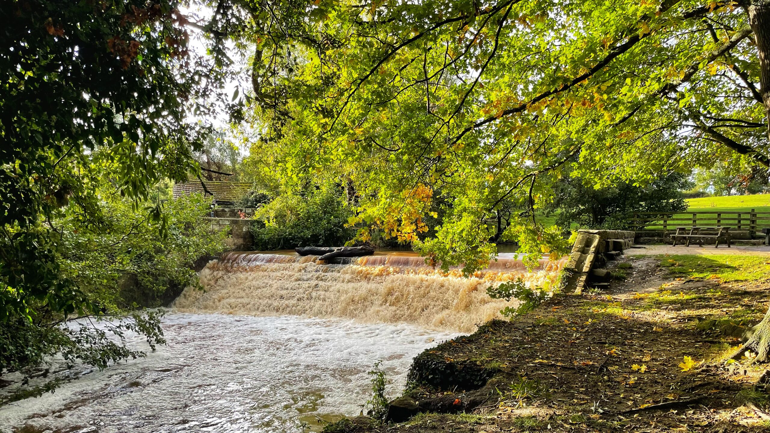 Floods, Mills and a Sunday Flush