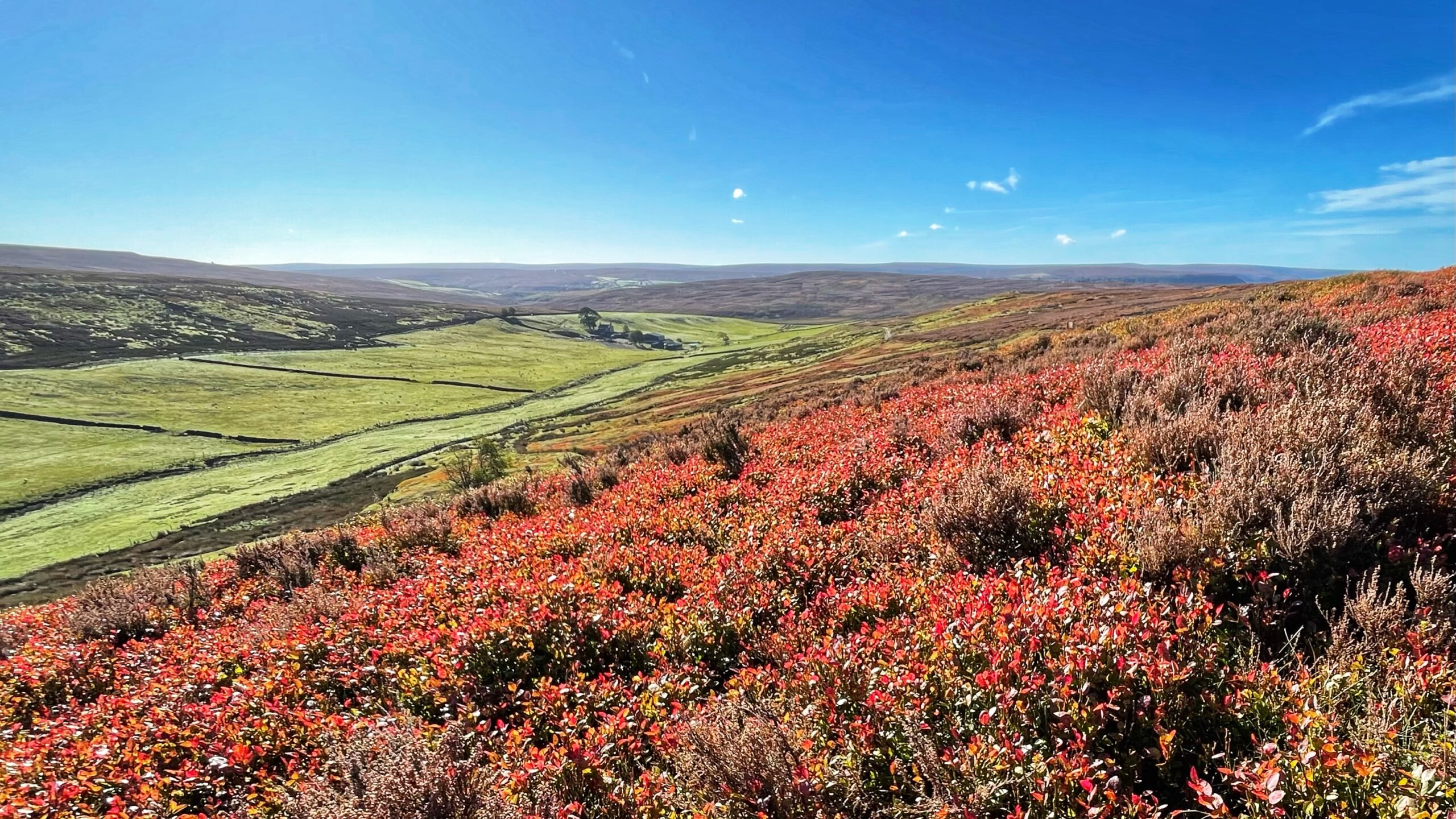 Michaelmas: When the Devil Trod on the Brambles and the Lord Held Out His Hand