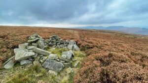 A close-up of a small, low dry-stone shelter in the foreground, composed of rough grey stones covered with lichen, sitting in green grass. It is surrounded by vast moorland covered in reddish-brown heather, which stretches back to the horizon. A faint, worn sheep-trod cuts through the heather in the middle ground, leading toward the distant, rolling Cleveland Hills under a heavily overcast sky. The overall impression is of a remote, wild, and rugged landscape.