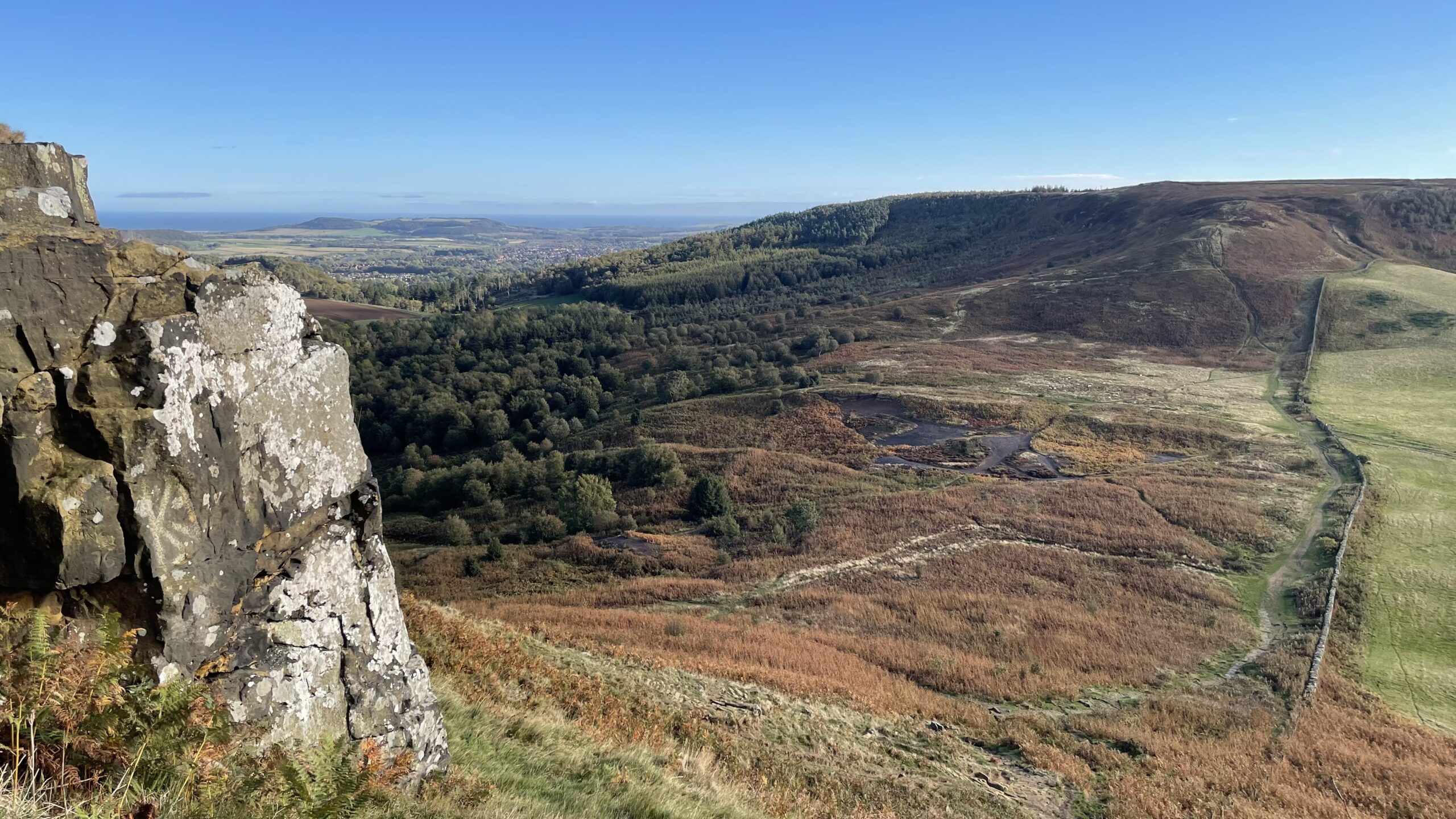 A scenic landscape view from the rocky edge of Roseberry Topping. On the left, a large, weathered, lichen-covered rock face juts out, framing the scene. The foreground and middle ground show the sloping terrain of Roseberry Common, covered in dry, reddish-brown bracken and patches of grassy ground, with a thick belt of green and yellow deciduous woodland stretching across the mid-distance. To the right, a dry stone wall runs up the gentle slope of the hill. In the far distance, beyond the woodland, the town of Guisborough is visible in the valley with the North Sea on the horizon under a clear blue sky.