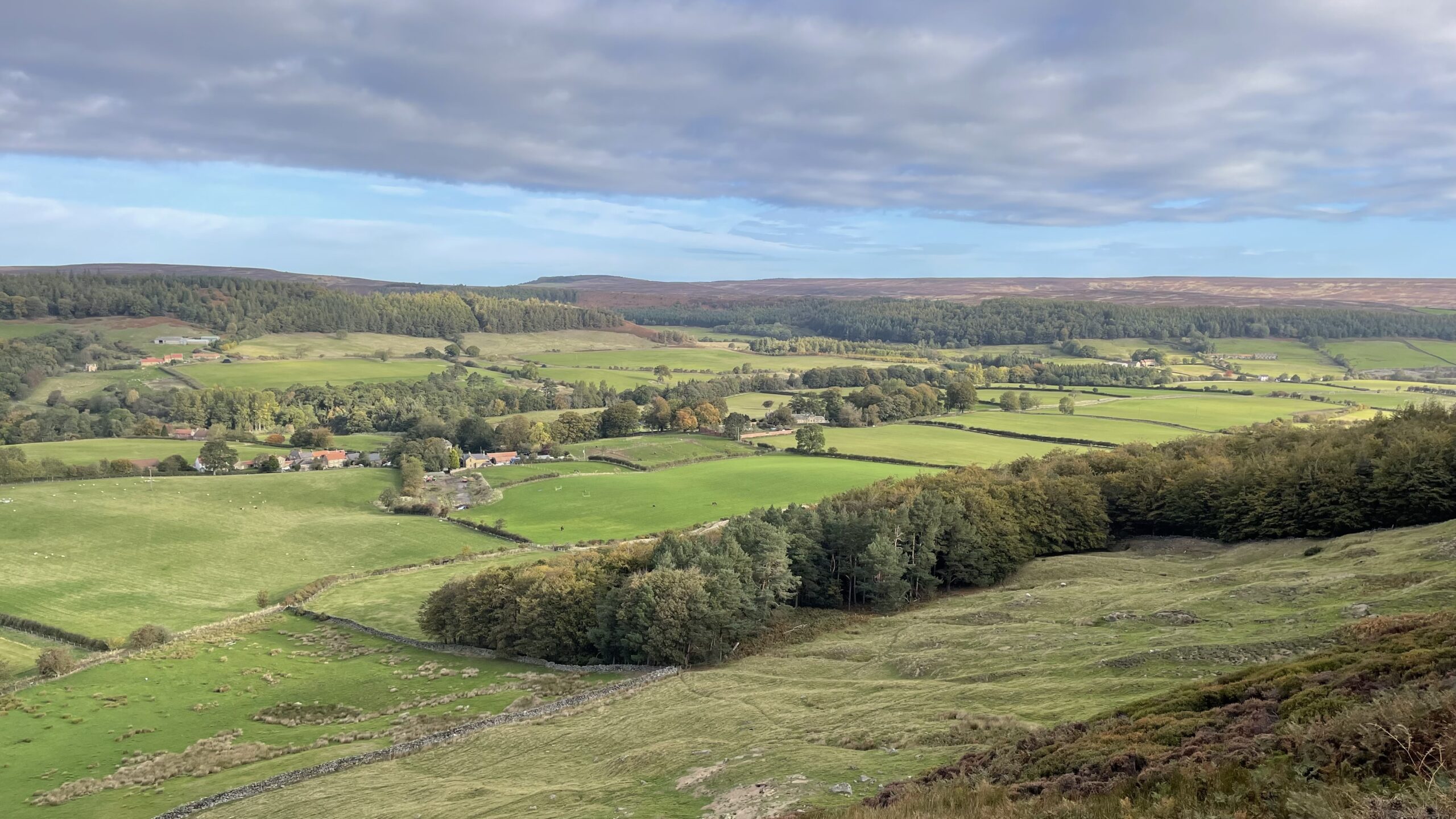 A panoramic landscape photo of Kildale in the North York Moors National Park, taken from a viewpoint of Park Nab. In the foreground is a steep, grassy hillside covered with rough bracken and heather. The middle distance is a wide valley floor, dominated by vibrant green patchwork fields separated by hedges and stone walls, with small clusters of trees and the scattered houses of Kildale village. The valley extends into a gently sloping, forested rise. The background is a wide expanse of moorland under a partially cloudy sky with patches of blue. The overall impression is a classic, rolling North Yorkshire countryside scene.