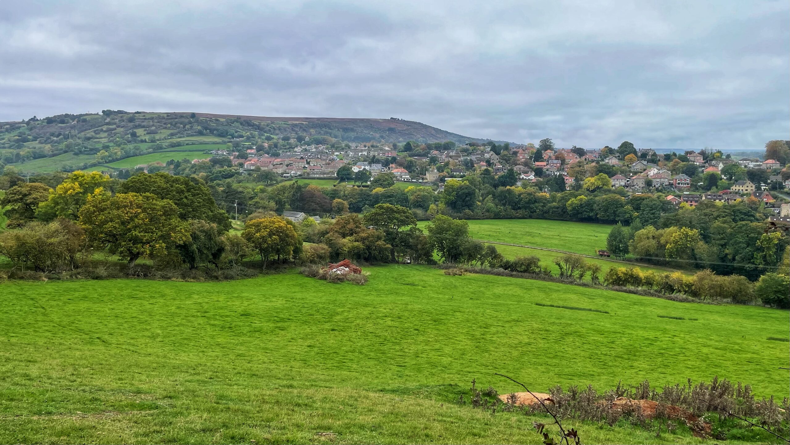 An elevated panoramic view of the village of Sleights. A wide expanse of bright green pasture fills the foreground, sloping up towards a band of trees. Beyond the trees, the houses of the village are clustered against the foot of a dark, undulating moorland hill under a grey, overcast sky.