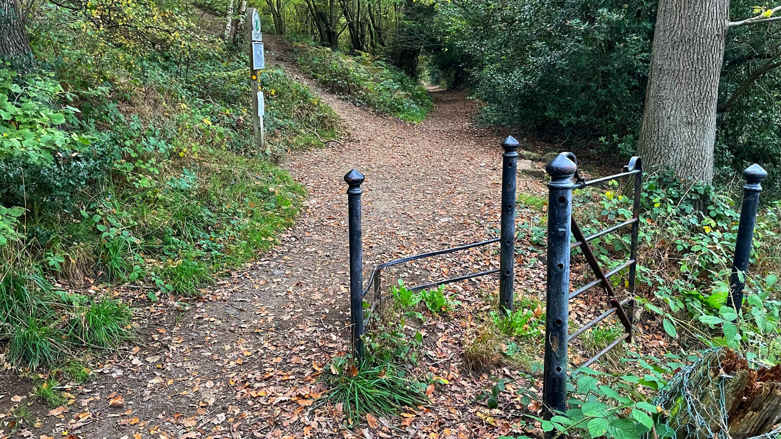 A crossing of leaf-covered paths winding through dense green woodland, passing a trail sign on the left and a broken black metal gate in the foreground.