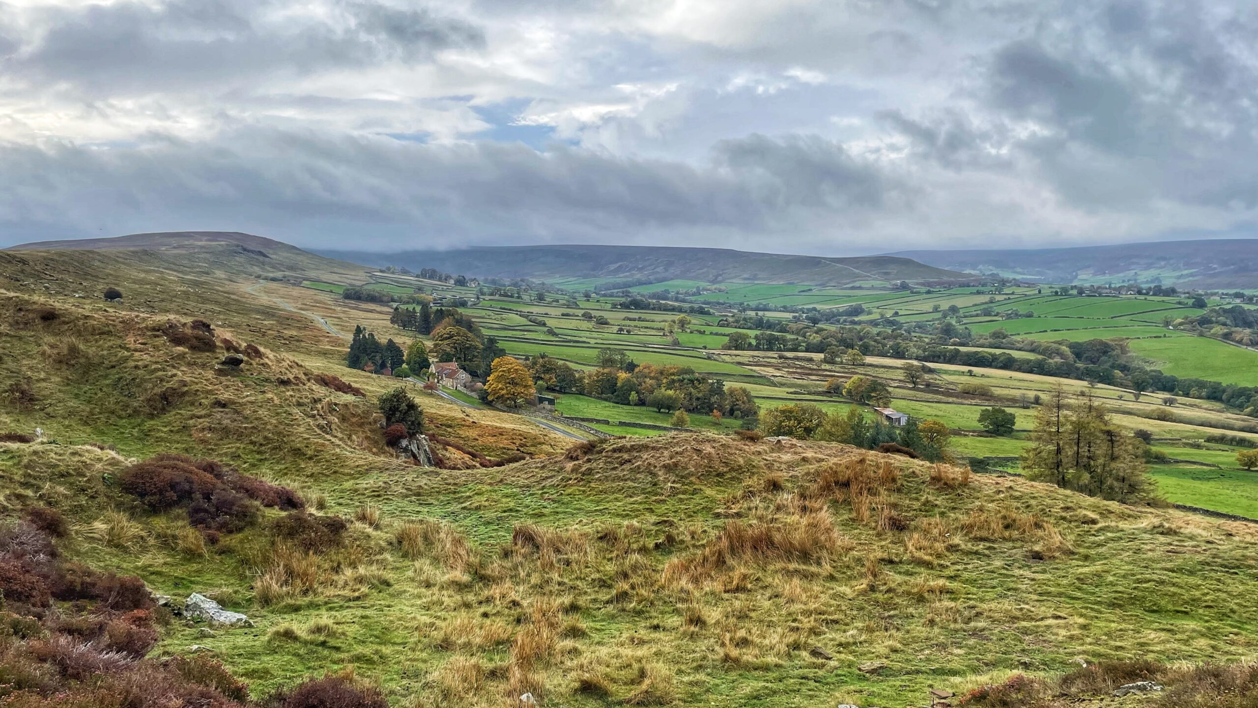 A panoramic view of the scattered hamlet of Westerdaleside, set within a rolling valley landscape under a dramatic, cloudy sky. The foreground features a rough, grassy moorland hillside with patches of heather and coarse grass. The view slopes down into a green, cultivated valley floor marked by a patchwork of small fields separated by walls and hedges. Several isolated stone buildings and clumps of trees, some showing autumnal yellow and orange leaves, are visible in the middle ground, indicating the hamlet. Distant hills and moorland rise on the horizon under the overcast sky.