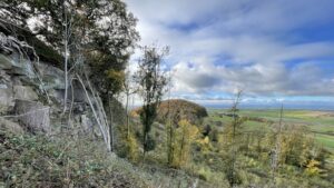 A panoramic view from a wooded hillside, looking out over a rolling landscape. In the immediate foreground to the left is a steep, rocky outcrop with some exposed cliff face known as “The Scarrs” and tangled, dry undergrowth. Several thin, young birch trees, some with silver-white bark, grow up the slope. The centre-middle ground is dominated by a scattering of deciduous trees and scrub, showing early autumn colours of green, yellow, and brown. Beyond the immediate hill, the prominent, rounded Carlow Hill covered in dense green and amber trees rises slightly above the flat plain of the Vale of Mowbray. The background features vast, flat agricultural fields stretching to the horizon under a partially cloudy blue sky.