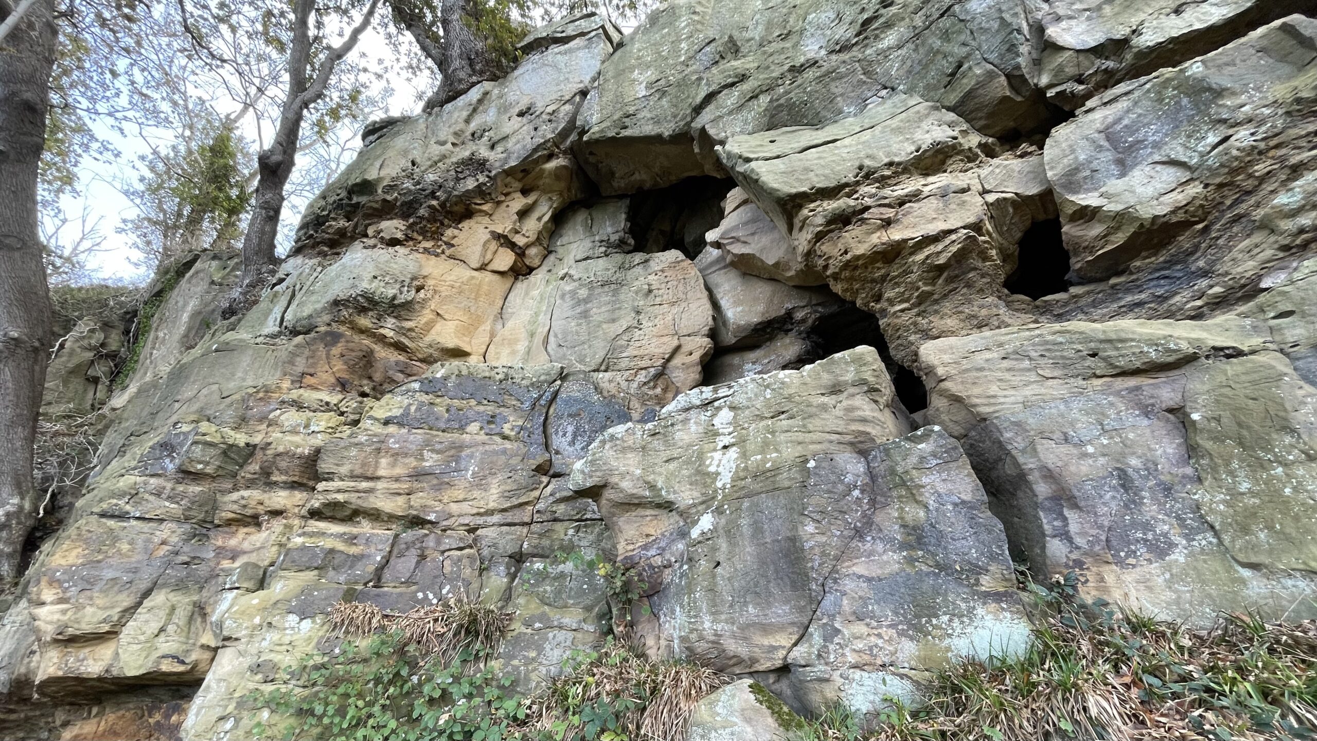 A close-up view of a rugged, layered sandstone cliff face. The rock is a mix of brown, yellow, and grey tones, showing signs of weathering and erosion with prominent horizontal bedding planes and deep vertical fissures. In the upper centre, the rock face forms a small recess or overhang with darker shadows, suggesting a small cave. To the left, the steep slope is topped by trees, whose trunks and branches are visible against a bright, overcast sky. The base of the rock face is covered in dead grasses, scattered leaves, and some green scrub.