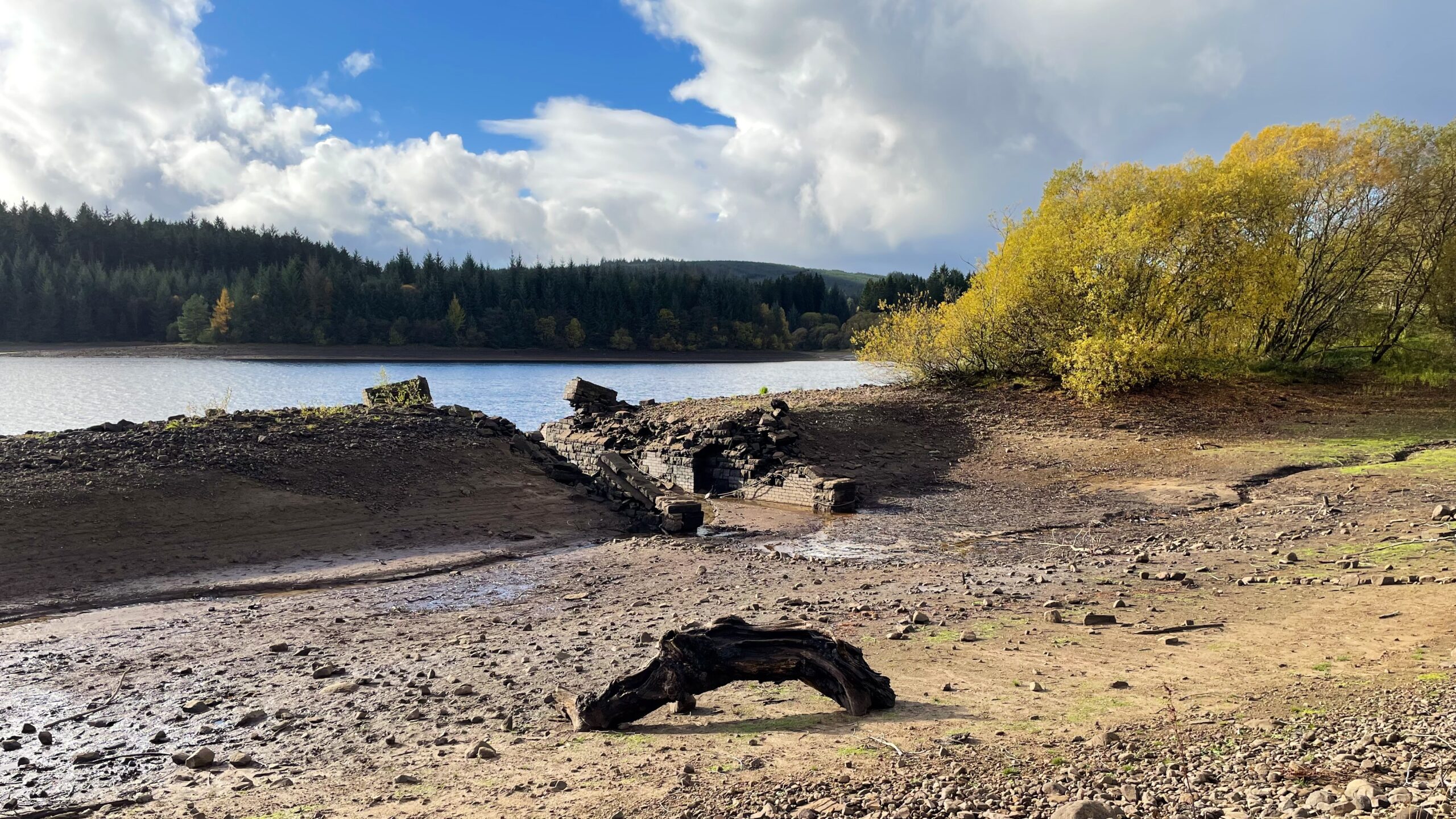 A scenic view of Kielder Reservoir with low water levels exposing a stretch of muddy, dry bank in the foreground. In the centre, the remains of an old railway embankment, with possibly a bridge or culvert structure, cuts across the dry shore, creating a small channel where some water may be flowing. An old, dark tree trunk lies exposed on the muddy shore in the centre. The main body of the reservoir water is visible behind the exposed bank, stretching towards a dense, dark forest on the distant shore under a bright blue sky with white, fluffy clouds.