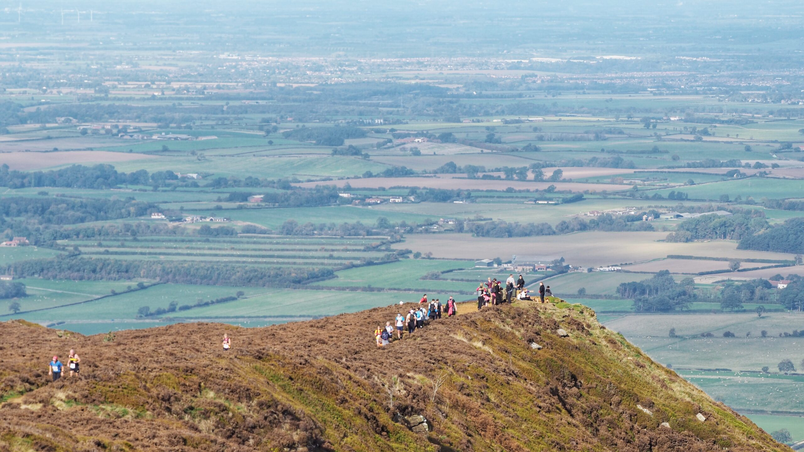 Cringle Moor and the Cult of the Drone