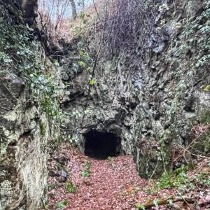 A photograph of the entrance to a dark, small mine adit, surrounded by steep, grey, fractured rock faces of whinstone. The entrance is partially obscured by overhanging branches and sparse ivy. A path covered in a thick layer of brown autumn leaves leads directly into the dark, circular opening at the base of the rock face. The surrounding woodland features sparse, winter-bare vegetation clinging to the rocks.