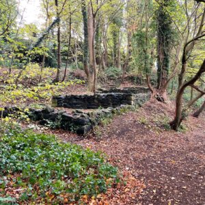 A photograph of the ruins of Jock Howieson's Cottage nestled in a dense, slightly overgrown woodland. In the foreground, there are low, moss-covered stone wall foundations of the ruin, partially covered by green ivy and surrounded by a dirt path strewn with brown autumn leaves. A set of worn, stone steps leads up a steep, wooded embankment behind the ruins, disappearing into the trees above. The surrounding deciduous trees have bare branches or sparse, pale green and yellow-tinged leaves under an overcast sky.