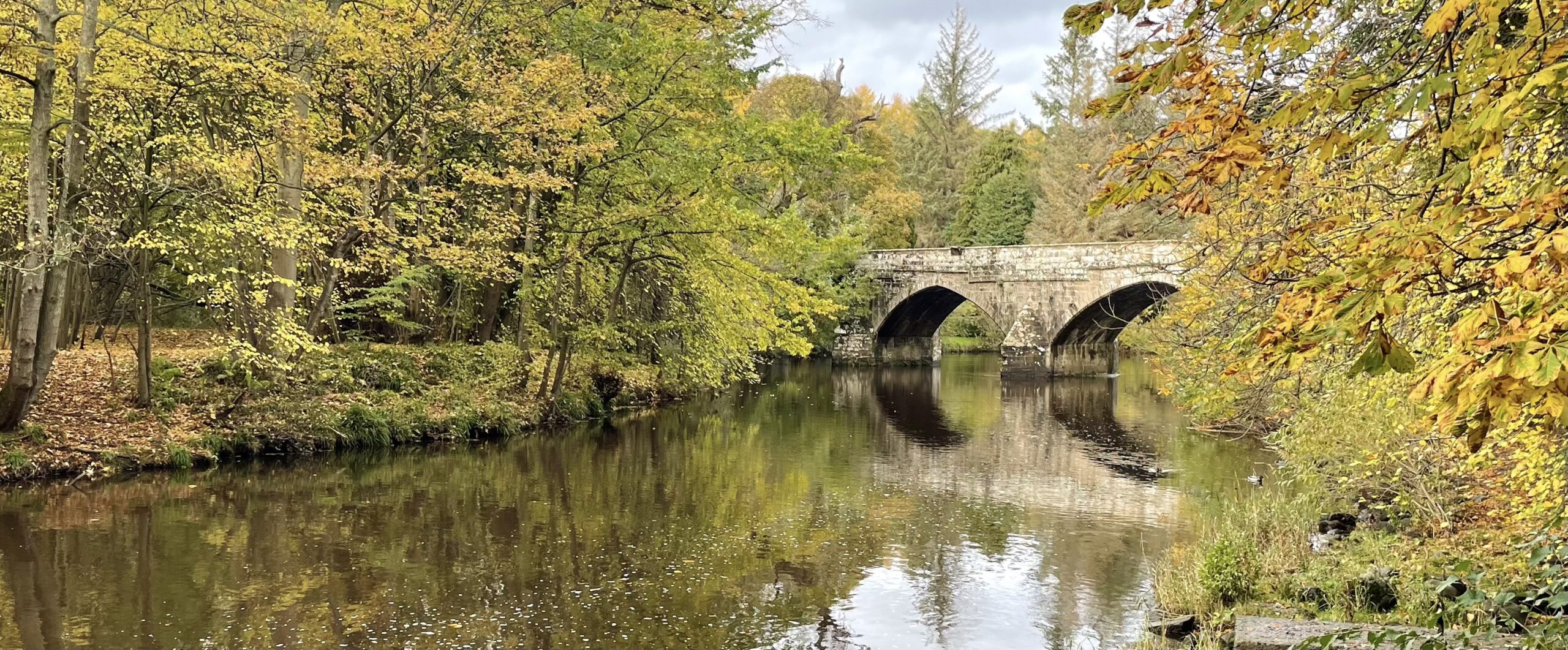 A picturesque scene of the historic Cramond Brig (bridge) crossing the River Almond in autumn. The water is calm, reflecting the two stone arches of the bridge and the dense trees lining the banks. The foliage on the trees is predominantly in shades of green and brilliant yellow/gold, indicating the transition of the season. The river has a brownish hue, and the overall atmosphere is tranquil under a lightly clouded sky.