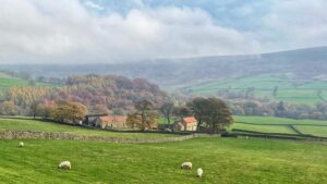 A panoramic view of the Bransdale landscape in autumn. In the foreground, a bright green field with a few sheep grazing is separated from the middle ground by a dry stone wall. In the middle ground, the farmstead of Breck House consists of a cluster of traditional stone buildings, including a prominent house with a warm, orange-yellow hue, nestled among mature trees showing the rich reds, oranges, and golds of autumn foliage. The background features rolling hills and the dale, with patches of green pasture and woodland, all partially shrouded in a low mist or cloud cover. The overall mood is serene and pastoral.