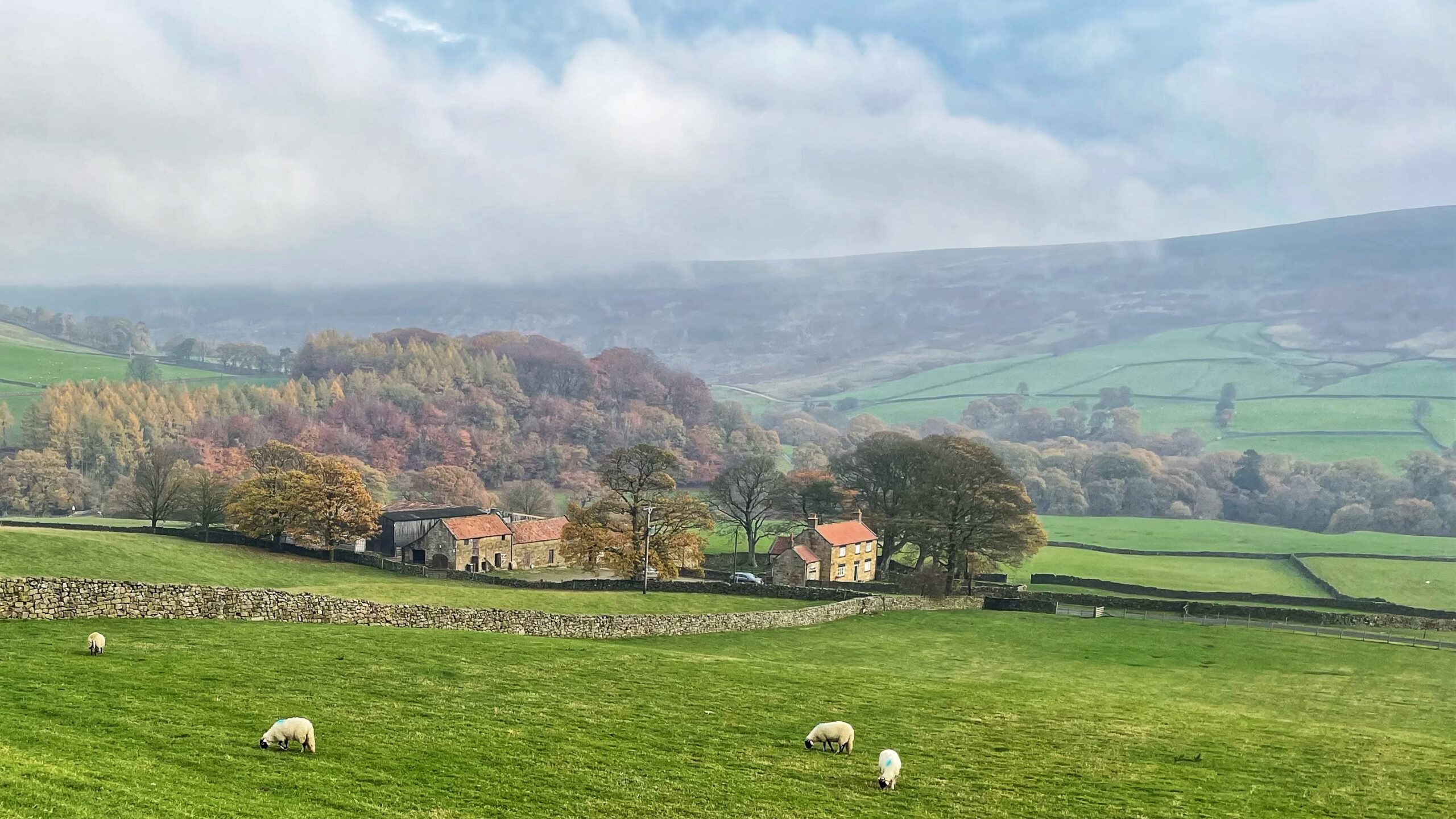 A panoramic view of the Bransdale landscape in autumn. In the foreground, a bright green field with a few sheep grazing is separated from the middle ground by a dry stone wall. In the middle ground, the farmstead of Breck House consists of a cluster of traditional stone buildings, including a prominent house with a warm, orange-yellow hue, nestled among mature trees showing the rich reds, oranges, and golds of autumn foliage. The background features rolling hills and the dale, with patches of green pasture and woodland, all partially shrouded in a low mist or cloud cover. The overall mood is serene and pastoral.