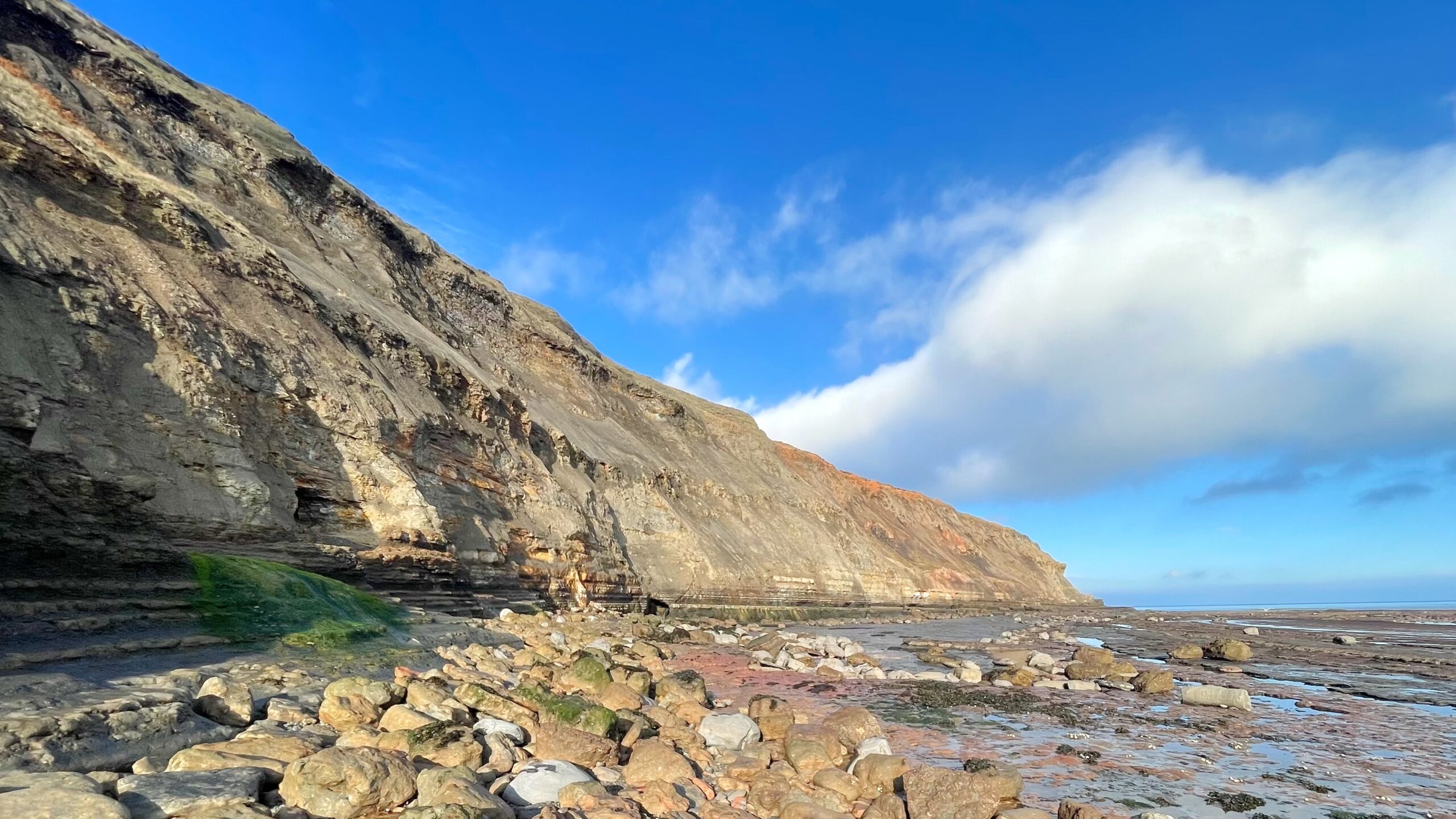 A landscape photo showing the shore and cliffs of Brackenberry Wyke on a sunny day. The image features a large, tall, and steep cliff face that dominates the left and centre, displaying visible horizontal layers of rock, characteristic of the geology of the Yorkshire Coast. The cliff rock ranges from dark grey-brown to a lighter tan and reddish-orange at the top, possibly indicating iron staining. At the base of the cliff, the shore is visible with an abundance of scattered rocks and boulders, some covered in green algae or moss, leading out to a exposed scar on the right. In the lower left, subtle, darker indentations or steps along the base of the cliff suggest the presence of old mine workings or adits. The sky is a bright, clear blue with a few large, white, puffy clouds, one extending over the top right of the cliff face and out towards the blue horizon of the sea. The lighting is bright, creating deep shadows at the base of the cliff.